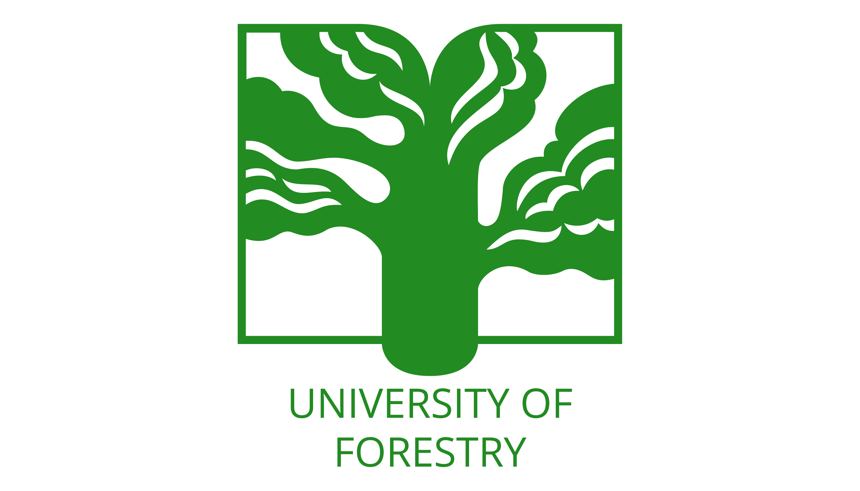 UNIVERSITY OF FORESTRY
